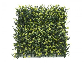 Ccga003 buxus kunsthaag specialist kunst planten tuinmuurdecoratie eindhoven 1