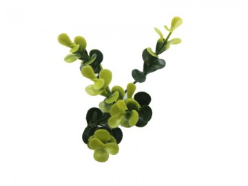 Ccga003 buxus kunsthaag specialist kunst planten tuinmuurdecoratie eindhoven 3