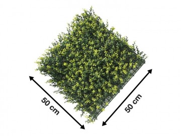 Ccga003 buxus kunsthaag specialist kunst planten tuinmuurdecoratie eindhoven 4