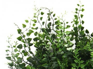 Ccga006 kunsthaag specialist kunstplanten tuinmuurdecoratie eindhoven 3