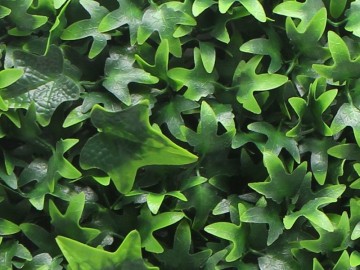 Ccga029 hydera ster kunsthaag specialist kunstplanten tuinmuurdecoratie eindhoven 2