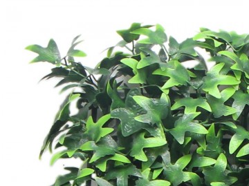 Ccga029 hydera ster kunsthaag specialist kunstplanten tuinmuurdecoratie eindhoven 3