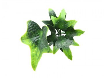 Ccga029 hydera ster kunsthaag specialist kunstplanten tuinmuurdecoratie eindhoven 4