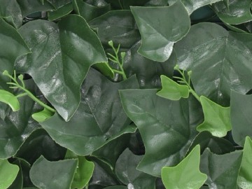 Ccga144 hydera klimop kunsthaag specialist kunstplanten tuinmuurdecoratie eindhoven 2