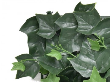 Ccga144 hydera klimop kunsthaag specialist kunstplanten tuinmuurdecoratie eindhoven 3