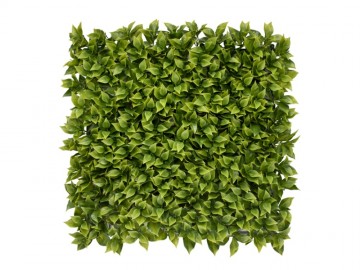 Khsa362 kunsthaag specialist kunstpalnten tuin muur decoratie 1