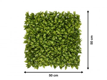 Khsa362 kunsthaag specialist kunstpalnten tuin muur decoratie 2