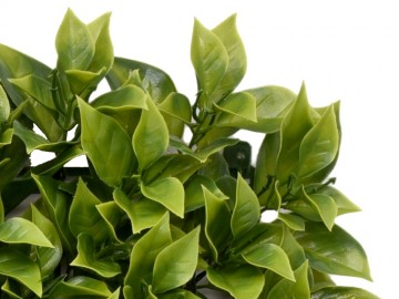 Khsa362 kunsthaag specialist kunstpalnten tuin muur decoratie 4