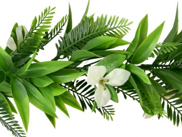 Khst001 kunstplant kunsthaag specialist plantslier plantenboog plantslingers 4