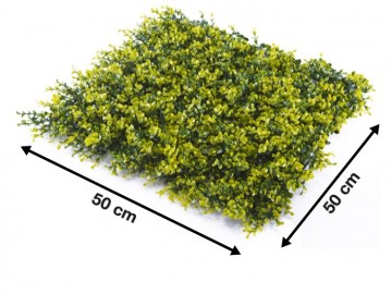 Kunsthaag specialist kunst planten khs188003a tuinmuurdecoratie eindhoven 3