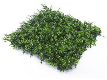 Kunsthaag specialist kunst planten khs188003b tuinmuurdecoratie eindhoven 1