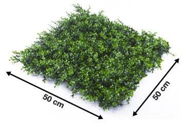 Kunsthaag specialist kunst planten khs188003b tuinmuurdecoratie eindhoven 3