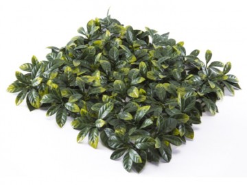 Kunsthaag specialist kunst planten khs188006a tuinmuurdecoratie eindhoven 1