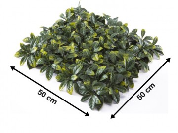 Kunsthaag specialist kunst planten khs188006a tuinmuurdecoratie eindhoven 3