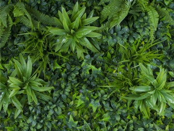 Kunsthaag specialist kunst planten khs189001b tuinmuurdecoratie eindhoven 2