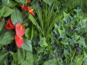 Kunsthaag specialist kunst planten khs189006a tuinmuurdecoratie eindhoven 2