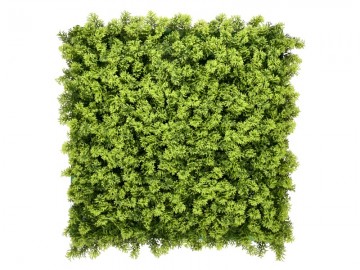 Kunsthaagspecialistkunsthaagplantenccga201mtuinmuurdecoratieeindhoven1