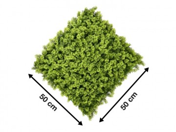 Kunsthaagspecialistkunsthaagplantenccga201mtuinmuurdecoratieeindhoven4